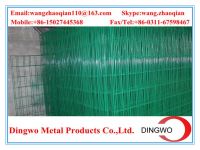 Galvanized Welded Wire Mesh/PVC Coated Welded Wire Mesh/welded Wire Mesh Panel