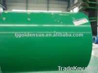 PPGI/Prepainted galvanized steel coil