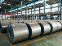 Electrical steel (CRNGO)