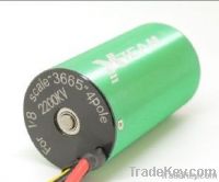 Brushless Motor