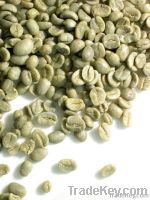 green coffee bean