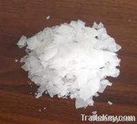 Caustic Soda Flakes And Pearls