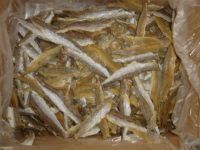 Dried Lizard Fish