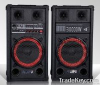 stage speaker, professional speaker