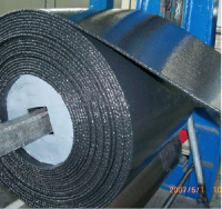 Nylon conveyor belt