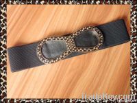 popular wide elastic belt for women