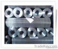 hot-dipped/electro galvanized welded wire mesh