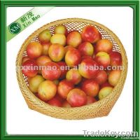 https://www.tradekey.com/product_view/Bamboo-Fruit-Basket-Cheap-4900332.html