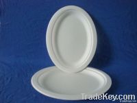 disposable paper plate