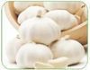 Garlic Oil CAS 8008-99-9/8000-78-0