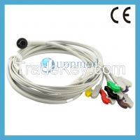 corpuls 6 lead ecg cable