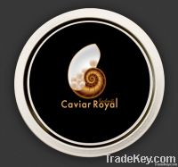 Caviar Royal Kachouti