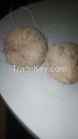 Dry coconuts