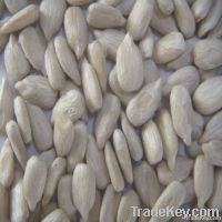 Confectionary Sunflower Seed Kernels