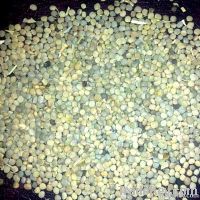 Guar Seeds