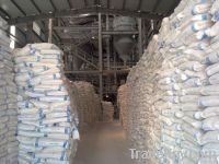 Uncoated Calcium Carbonate with best price (GM 1)