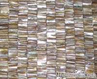 brown shell teeth wall tile mosaics