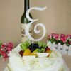 Wedding Decoration Cake Topper Monogram E