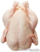 Halal Whole Frozen Chicken