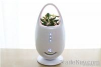 Happion (Multifunctional Air Purifier)
