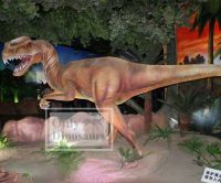 Animatronic Dinosaur Exhibit-Dilophosaurus