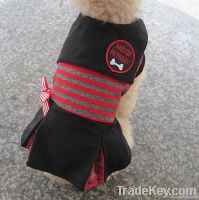 cute summer clothes for nice dog