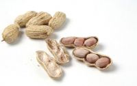 Peeled peanuts/raw peanuts bold