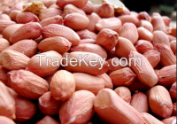 Good price good quality raw peanut 
