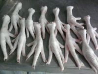 IRAN supplier and seller  chicken feet and paw 