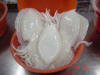 FROZEN BABY OCTOPUS, CUTTLEFISH GOOD QUALITY