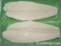 FROZEN PANGASIUS FILLET - By Tony