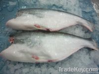 FROZEN PANGASIUS WHOLE ROUND HEADLESS