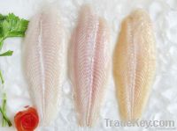 FROZEN PANGASIUS FILLET - ALL KINDS