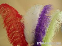 wedding decoration ostrich feathers, party decoration ostrich feathers