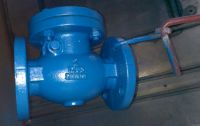 BS5153 Metal seated cast iron swing check valve