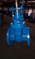ANSI MSS SP-70 Bronze/Brass/SS seal/Seat OS&Y/NRS rising stem/non-rising stem cast iron gate valve 125S/class 150