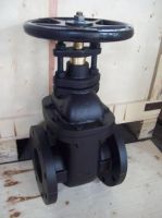 ANSI/MSS SP-70 CI/DI body flanged end NRS bronze seal gate valve 125S