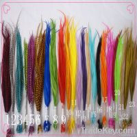 2011 Top sal real feather hair extension / hair feathers / feathers in