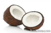 https://jp.tradekey.com/product_view/Coconut-4935387.html