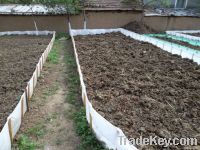 Compost Fertilizer