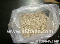 Sunflower Kernels - Bakery grade, Premium Bakery grade, Confectionary grade