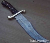 Damascus Hand made Carbon Steel fixed knife with with handle animal bo