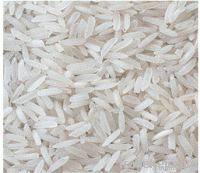 Rice | Rice Exporter | Rice Distributor | Rice Wholesaler | Rice Supplier | Rice Importer | Basmati Rice | Rice For Sale | Long Grain Rice Exporter | Buy Rice Online | Rice For Sale | Basmati Rice Exporter | Basmati Rice Wholesaler | Long Grain Rice buyer