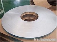 Stainless Steel 430 Strip
