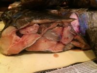 Frozen Greenland Halibut Heads