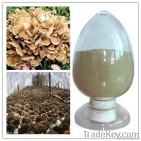 Maitake mushroom Extract