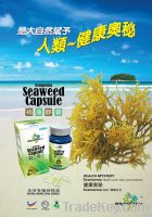 SEAWEED CAPSULE