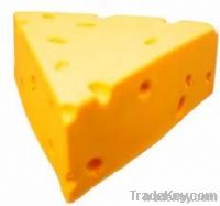 Cheddar Cheese