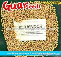 GUAR SEEDS