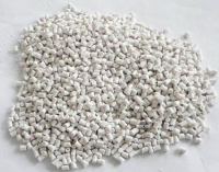 Polyphenylene oxiole(PPO)